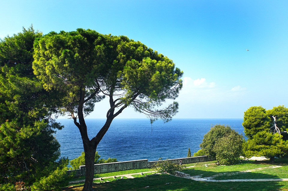 rovinj-4616601_960_720